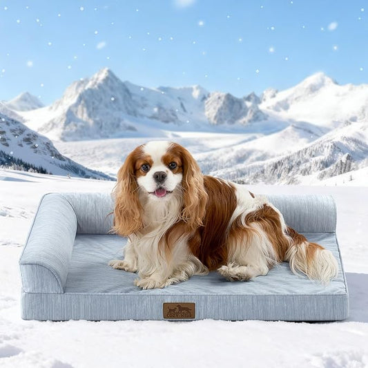Cooling Dog Bed, Orthopedic Foam Dog Bed with Sides, Removable Cover & Waterproof Lining and Nonskid Bottom, Comfortable Pet Beds for Dogs, Blue (30" L x 20" W x 6" Th)