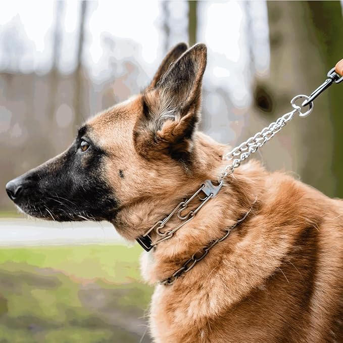 Herm Sprenger Dog Training Prong Collar with Quick Release Cliclock Buckle, 3 Extra Links, 30 Comfort Tips - Stainless Steel No-Pull Collar with Swivel Ring for Medium Large Dogs, Made in Germany