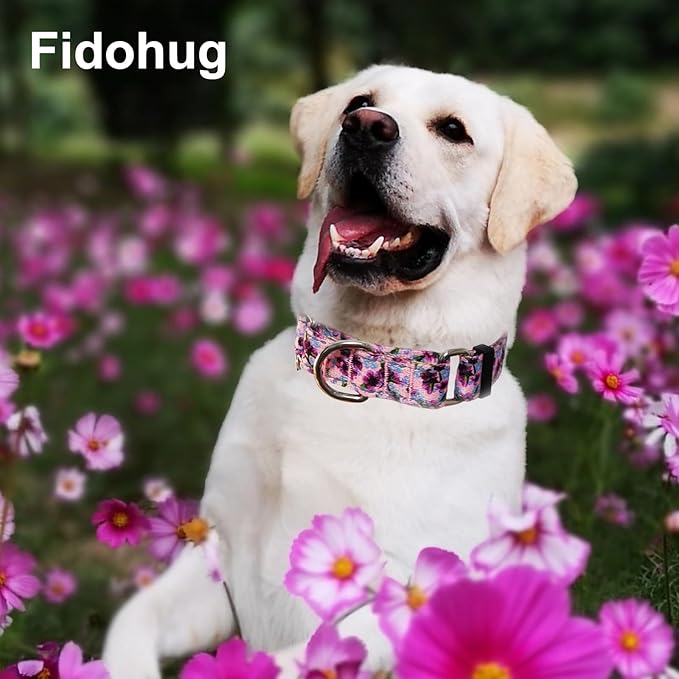 Reflective Martingale Collar for Dogs Nylon Training Collar with No Buckle Cute Floral No Pull Dog Collar for Small Dogs（Purple Flower，S）