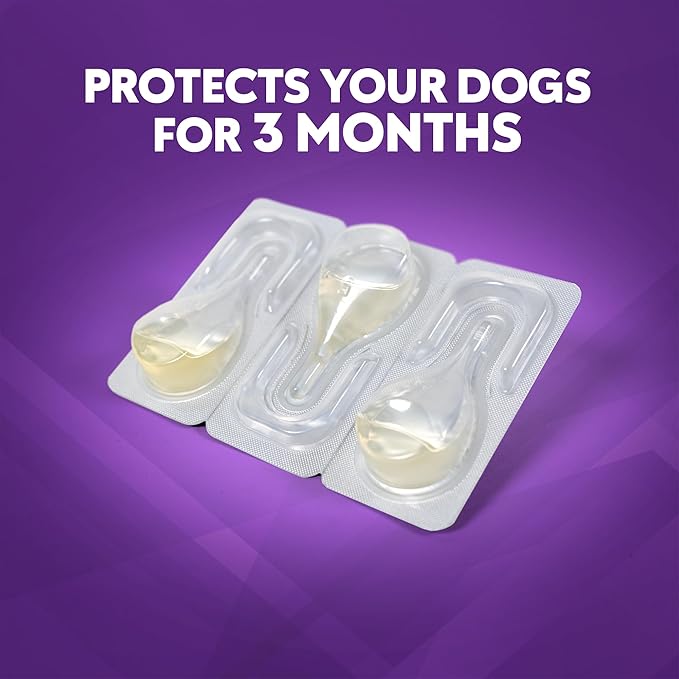 ZoGuard Plus Flea and Tick Prevention for Medium Dogs – Flea & Tick Prevention for Dogs 23-44lbs 6 Month Supply, Pack of 2
