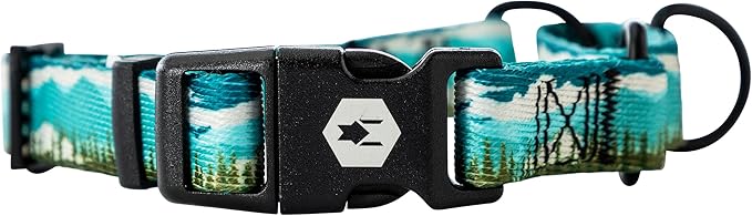Wolfgang Heavy Duty Martingale Dog Collar with Quick Release Nylon Buckle for Walking & Training, GreatEscape Print, Medium