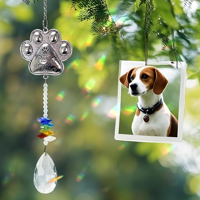 Pet Memorial Suncatcher - Loss of Pet Sympathy Gift for Dog and Cat Owners with Crystals, Indoor Window Suncatchers, Bereavement Gifts Dog Memorial (Colorful)