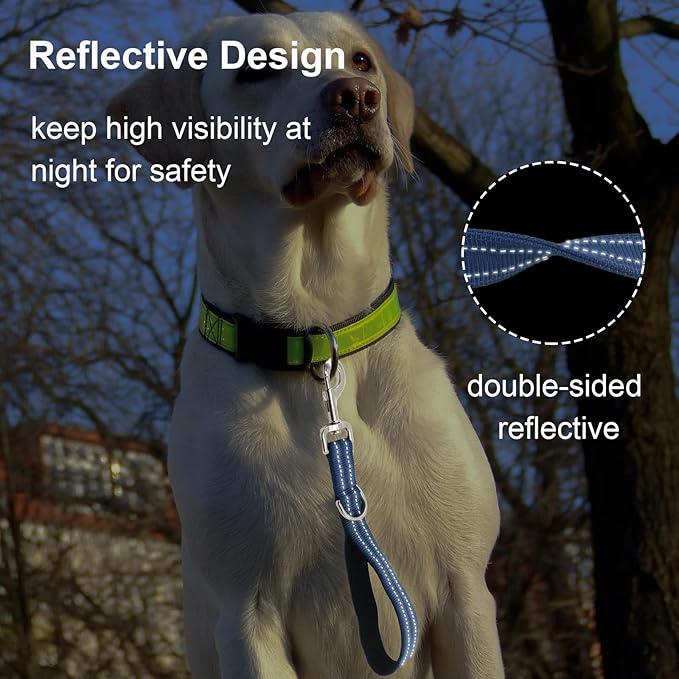 Standard Training Leashes 12 Inches for Dogs, Short Traffic Dog Leash Heavy Duty Padded Handle, Nylon Anti Pull for Reflective, Short Line Dog for Small, Medium and Large Dogs 1 FT Blue