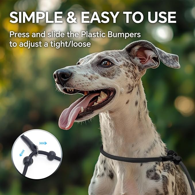 QQPETS Adjustable Slip Lead Dog Leash, Hands Free Waist Leash for Dog Walking, Reflective Training Lead with 360° Swivel Anti-Tangle, 4-7 ft Length for All Breeds