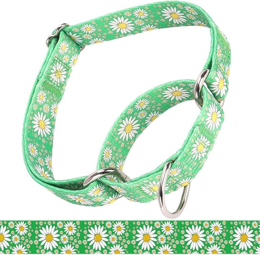 Martingale Collar for Medium Dogs, Girl Dog Collar with Daisy Flowers, Heavy Duty No Pull Dog Collar Floral Design Dog Training Collar, Perfect for Training, Walking, Hunting (Green, L)