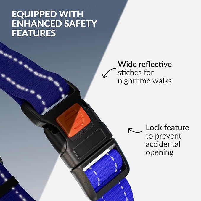 CollarDirect Martingale Dog Collar with Stainless Steel Chain and Quick Release Buckle - Reflective Collar for Large, Medium, Small Dogs - Blue, Large (Neck Size 17"-22")