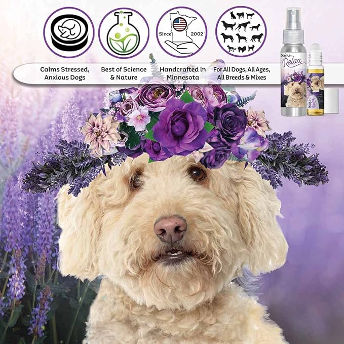 The Blissful Dog Goldendoodle Relax Roll-ON Aromatherapy for Dogs - Anxiety Relief for Dogs