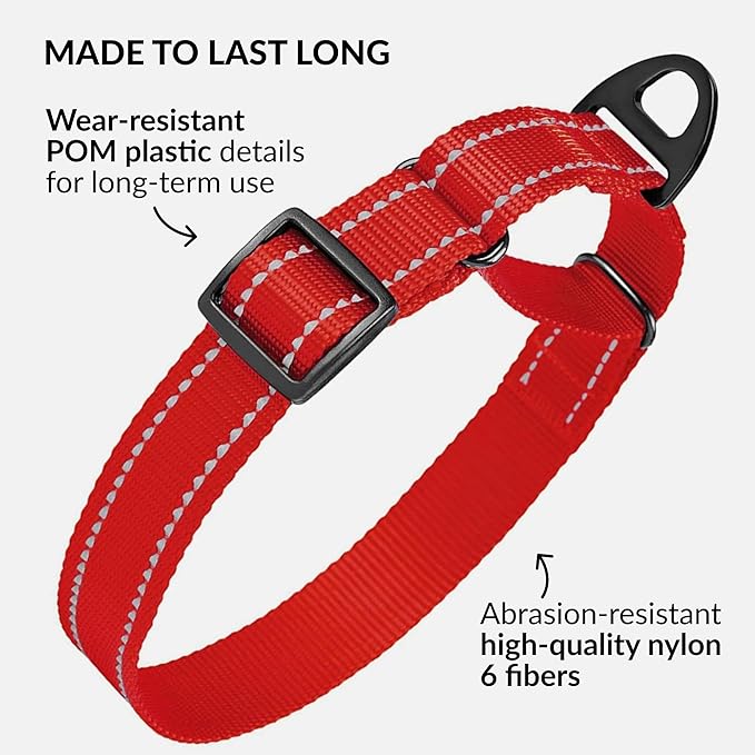 CollarDirect Reflective Martingale Dog Collar Nylon Heavy Duty Training Pet Collars for Small Medium Large Dogs Puppy Black Blue Mint Green Red Pink Purple Dark Red (M, Neck Size 13"-18", Red)