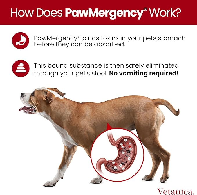 PawMergency – Activated Charcoal First Aid Kit Emergency Rescue 2 Pack for Dogs, Cats, Puppy & Pet Poison Kit, Camping Survival Remedy Essential, Oral Anti Diarrhea Digestive Absorb Toxins