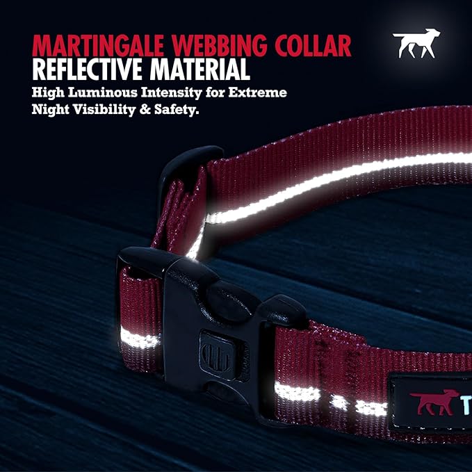 Tuff Pupper Martingale Collar for Dogs | Gentle Nylon Limited Cinch is Perfect for Training | Durable Locking Buckle | Reflective for Safer Night Walking | Sizing for All Breeds (Black, Large)