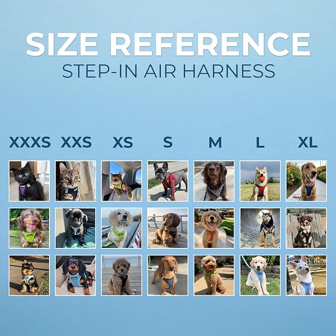 Best Pet Supplies Voyager Step-in Air All Weather Mesh Harness and Reflective Dog 5ft Leash Combo with Neoprene Handle, for Small, Medium and Large Breed Puppies - Set (Baby Blue), Medium