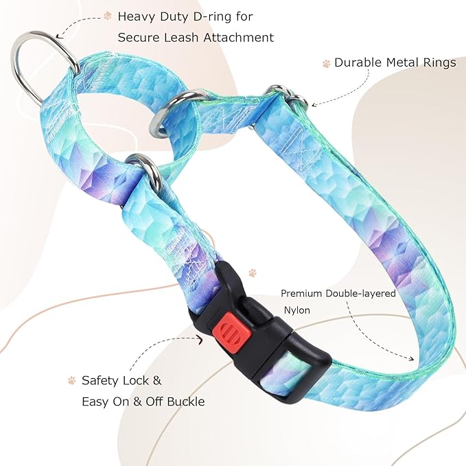 Martingale Collar for Dogs, Blue No Escape Training Dog Collar for Large Dogs, Adjustable Safety Buckle Dog Collar, Perfect Boy and Girl Collar for Training, Walking, Hunting (L)