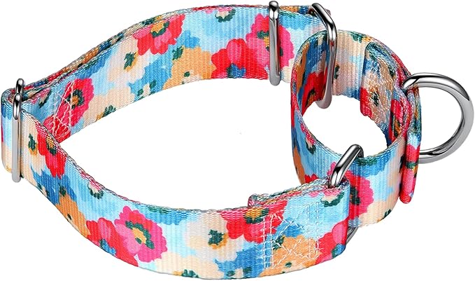 Mikivery Martingale Collar for Dogs 1 inch Sturdy Durable Collars Medium and Large Breed for Walking Training Outdoor Daily Use