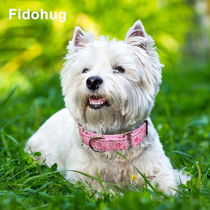 Reflective Martingale Collar for Dogs with Quick Release Buckle Cute Girl Female Flower Dog Collars (Pink Floral, XSmall)