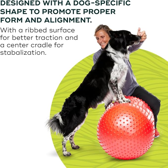 FitPAWS Traxpeanut Dog Training Accessory 50 cm
