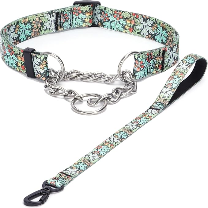 Martingale Dog Collar with Stainless Steel Chain - Limited Chain Cinch Training Collar for No Pull Training Dog - Flower Multicolor Cute Patterns - Premium No Slip Collar (L, Green Set)