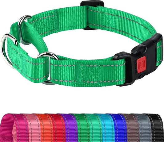 Joytale Martingale Collar for Dogs, Reflective Heavy Duty for Safety, Quick Release Buckle, Adjustable Nylon Collars for Small Dogs Walking Training, Green,S