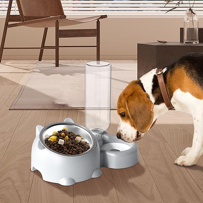 Dog Bowls, Cat Food and Water Bowl Set 16 Degree Tilted Dog Dish with Water Dispenser Automatic Dispenser Bottle Spill Proof Pet Feeder for Cats and Dogs