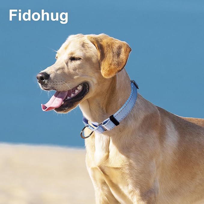 Reflective Martingale Collar for Dogs Nylon Training Collar with No Buckle, No Pull Escape Proof Dog Collar for Medium Dogs（Blue Stripe，M）