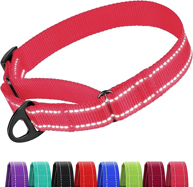 CollarDirect Reflective Martingale Dog Collar Nylon Heavy Duty Training Pet Collars for Small Medium Large Dogs Puppy Black Blue Mint Green Red Pink Purple Dark Red (M, Neck Size 13"-18", Pink)