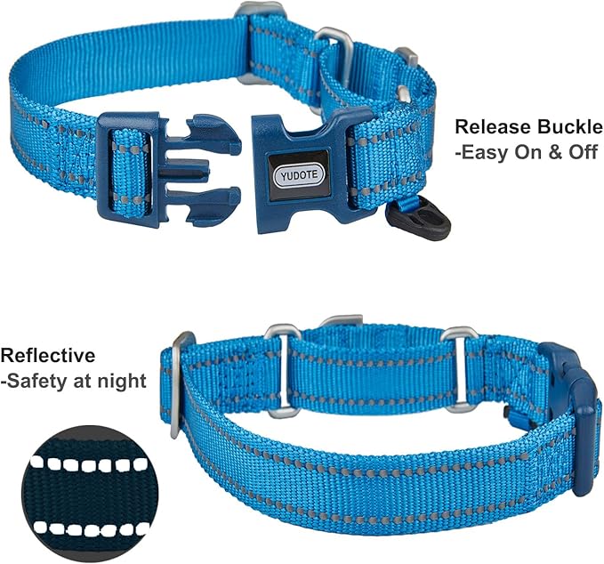 Reflective Martingale Collar for Dogs with Quick Snap Buckle Anti-Pull Nylon Safe Slip Collars for Easy Walking,Blue,Large