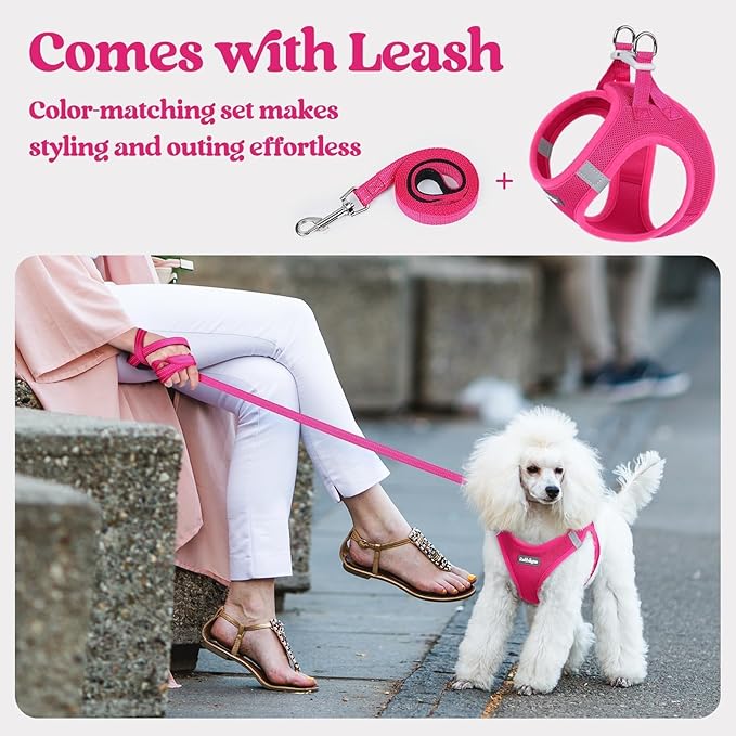 rabbitgoo Dog Harness Small Sized and Leash Set, Step in Soft Light Puppy Vest, Breathable Mesh Pet Harness, Reflective for Safe Easy Walking, Rosa Red XXXS