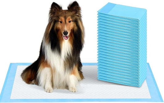FluffyDream Super Absorbent Waterproof Dog and Puppy Pet Training Pad, Housebreaking Pet Pad, 50-Count Small-Size, 22"x22", Blue