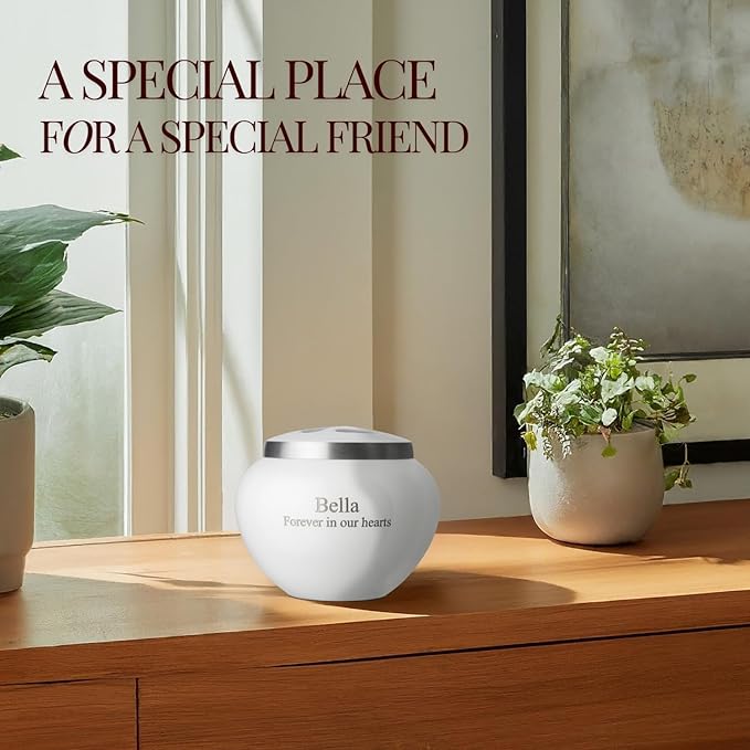 Mia Paws Premier Series Pet Urn for Dogs and Cats with Personalized Laser Engraving (Small - Pets up to 20 lbs, Cloud White, Pewter Paw)