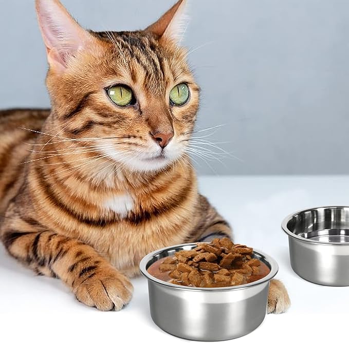 Kennel Water Bowl, No Spill Hanging Cage Crate Bowl for Cat, Small Dog Feeder -2 Cups / 1 Pint (1 Pack)