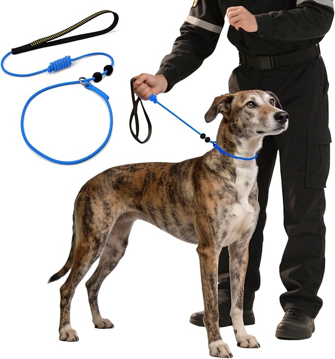 BeauGo|Dog Leash Slip Lead|Dog Training Leash,Trainer Rope Designed for DogTraining and NGKC Competition,No Pull Dog Lead & Collar,Trainer Rope for Small Medium Large Dogs (Blue)