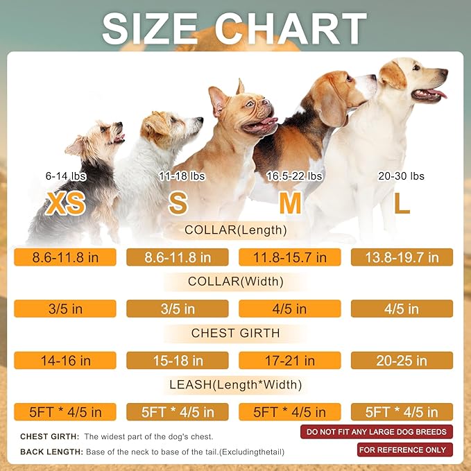 BEAUTYZOO Step in Dog Harness Collar and Leash Set for Small Medium Large Dogs, No Pull No Choke Puppy Harness, Soft Mesh Reflective Pet Padded Vest Adjustable for Doggie Girl or Boy,Chihuahua,Yorkie