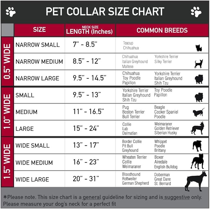 Buckle-Down Dog Collar Plastic Clip Pet Quote Do Not Pet Orange White 18 to 32 Inches 1.5 Inch Wide