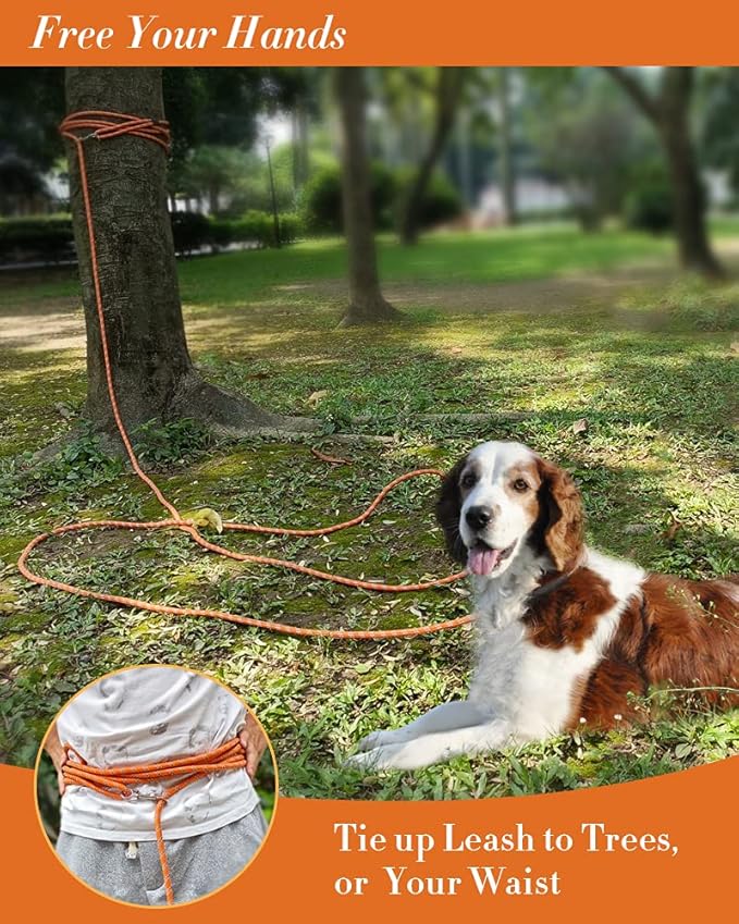 Long Line Leash for Dog Training 10FT 16FT 30FT 50FT 100FT, Reflective Threads Check Cord Dog Lead for Large Medium Small Dogs, Dog Tie-Out Cable for Outside WalkingPlaying, Camping, or kyard
