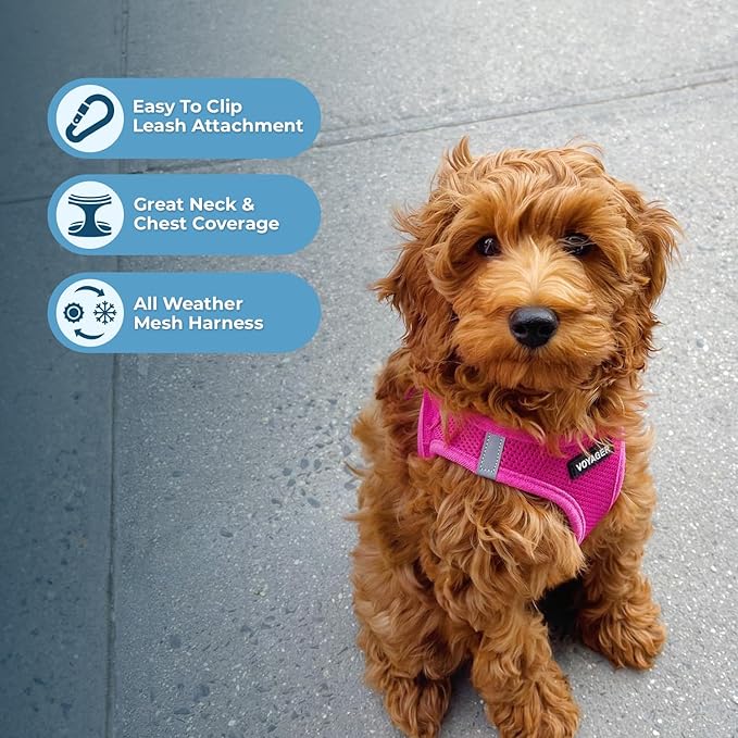 Best Pet Supplies Voyager Step-in Air All Weather Mesh Harness and Reflective Dog 5ft Leash Combo with Neoprene Handle, for Small, Medium and Large Breed Puppies - Set (Fuchsia), X-Large