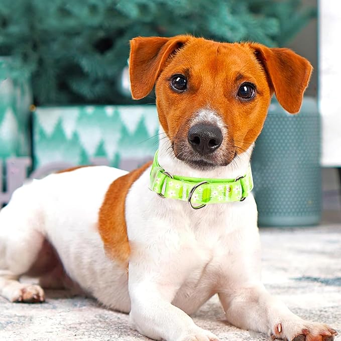 Martingale Dog Collar for Large Dogs，No-Slip Escape Proof Choke No Pull Avocado Dog Collar for Male and Female Dogs, Fruit Dog Collar for Walking Running Training