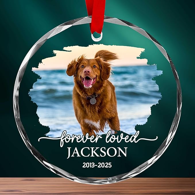 Personalized Pet Memorial Crystal Ornament - Pet Loss Gifts, Dog Memorial, Custom Pet's Photo, Dogs Sympathy Gift, Pets Condolence Gift, Pet in Memory Keepsakes, Remembrance Gifts for Cat Dog Lover