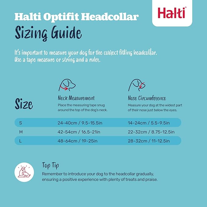 Halti Optifit Headcollar Size Medium & Halti Training Leash Size Large, Black Combination Pack - Stop Your Dog Pulling on the Leash. Adjustable with Padded Nose Band. Suitable for Medium Dogs