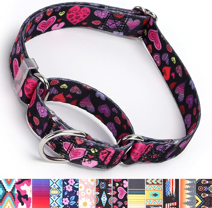 Martingale Collar for Medium Dogs, No-Slip Escape Proof Choke No Pull Cinch Soft Nylon Dog Training Collars Adjustable for Small Medium Large Breed Pet Dogs, Love Red Heart Black M
