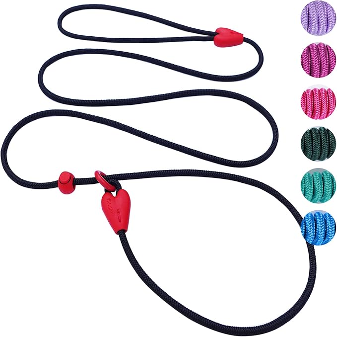 Slip Leads for Dogs Puppy Leash Comfortable 5FT Heavy Duty Loop Leash No Pull Pet Training Leash 6 Colors Classic Dog Leash for Small Medium Dogs(Black)