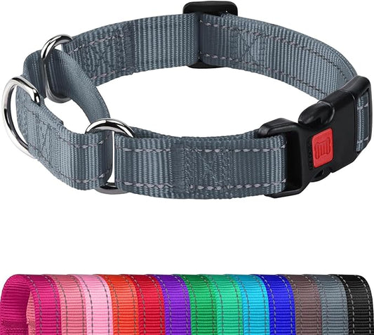 Joytale Martingale Collar for Dogs, Reflective Heavy Duty for Safety, Quick Release Buckle, Adjustable Nylon Collars for Small Dogs Walking Training, Gray,S