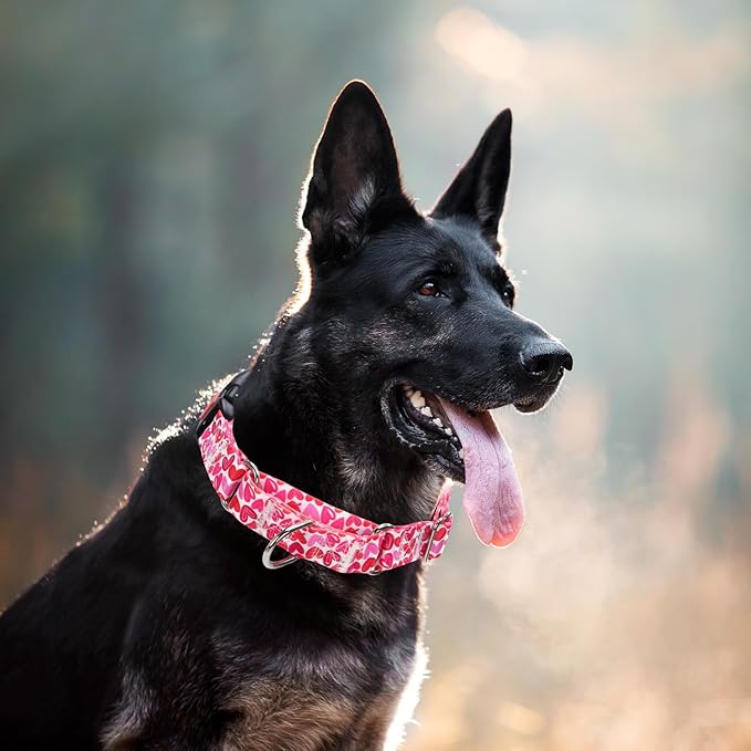 Martingale Collar for Dogs, Pink Heart Dog Collar for Small Medium Large Dogs, Girl Dog Collars with Quick-Release Buckle for Training, Walking, Hunting (L)