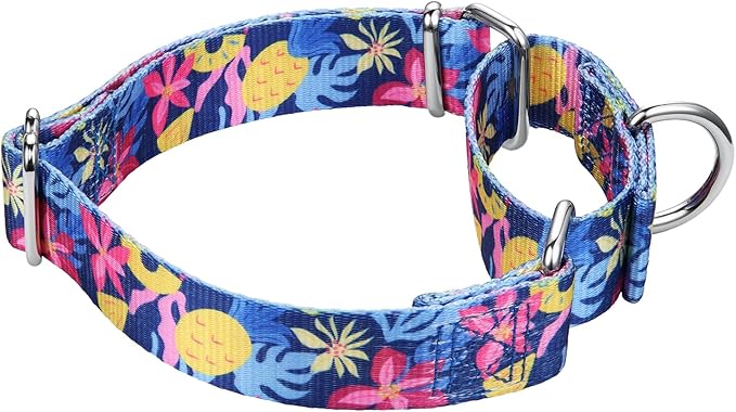Mikivery Martingale Collar 1 inch Slip On and Off,NO Buckle Gently Tightens Medium and Large Collars
