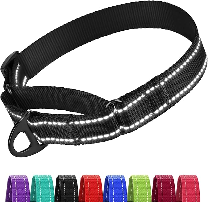 Collardirect Reflective Martingale Dog Collar Nylon Training Collars for Small Medium Large Dogs Puppy Pink Orange Green (L, Neck Size 16"-24", Black)