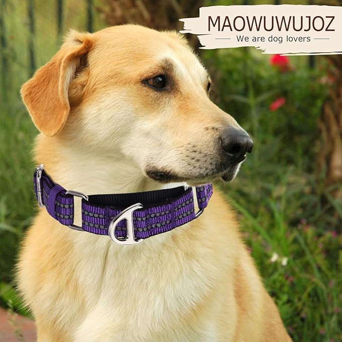 Martingale Collar for Large Dogs with No Buckle,Reflective Nylon Padded Comfort Safe Dog Collar for Training,Nighttime Walking & Overexcited Pulling Control Dogs,Purple L