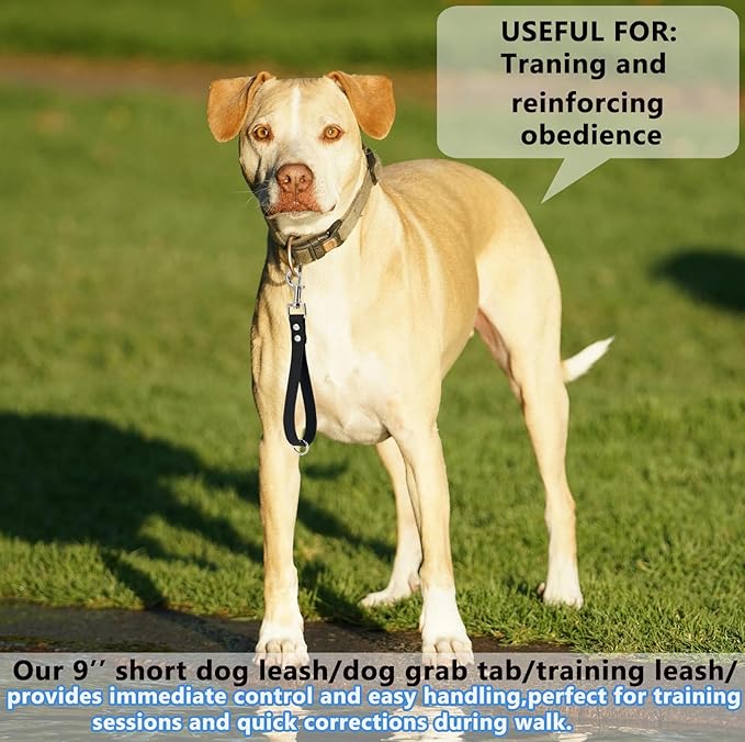 Short Dog Leash - 9 Inch Dogs Lead Green Grab Tab Heavy Duty Waterproof PVC Dog Training Traffic Leashes for Safety Control Behavior Correction Hiking Backup & All Breeds(Green, 9")