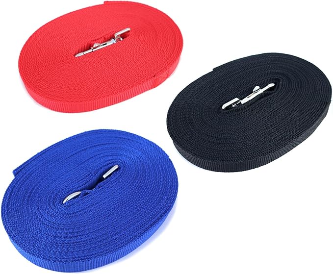 Dog Leash Puppy Obedience Recall Training Agility Lead 30ft, Great for Play, Camping, or Backyard