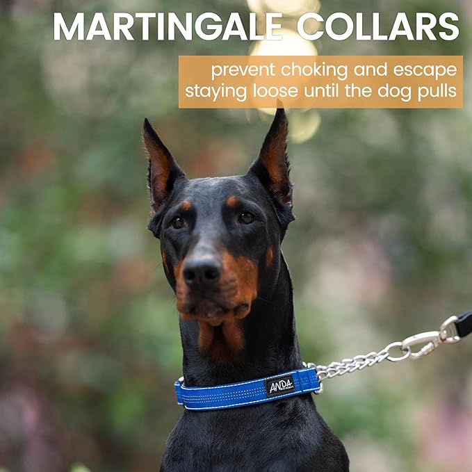 ANDA Martingale Collar for Dogs, Adjustable with Reflective Stainless Steel Chain, No-Pull Escape-Proof Training Collar for Medium and Large Breeds (Blue, Medium)