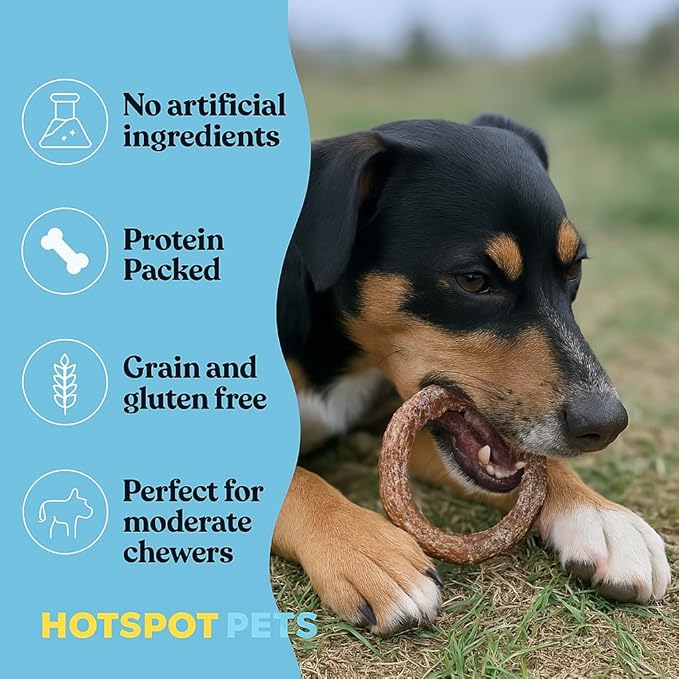 hotspot pets Bully Stick Rings for Dogs - (20 Pack) 4" Premium All Natural Long Lasting Twisted Beef Pizzle Dog Chew Treats, Low Odor - Grain Free Fully Digestible Rawhide Alternative - Thick Circles