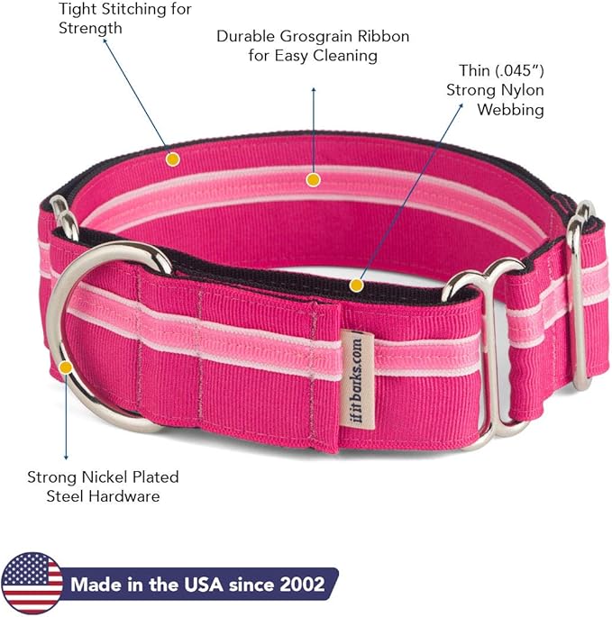 If It Barks - 1.5" Martingale Collar for Dogs - Adjustable - Nylon - Strong and Comfy - Ideal for Training - Made in USA - Small, Bubble Gum