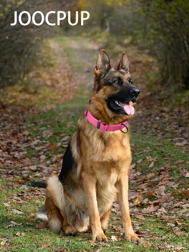 Martingale Collar for Dogs, Adjustable Soft Nylon Dog Collars with Special Design Cute Patterns (Pink, L (1" x 19"-26"))
